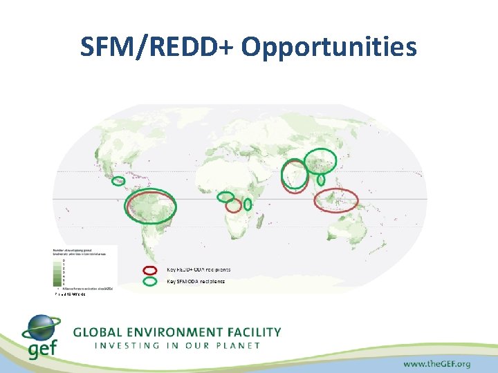 SFM/REDD+ Opportunities From UNEP/WCMC 