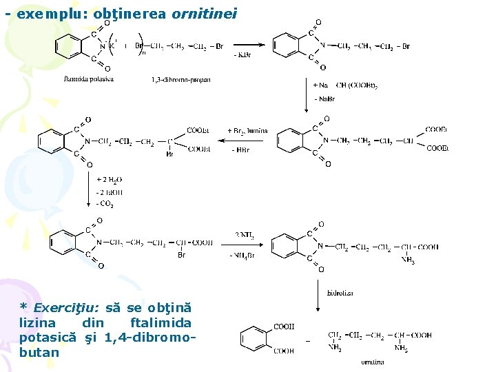 - exemplu: obţinerea ornitinei * Exerciţiu: să se obţină lizina din ftalimida potasică şi