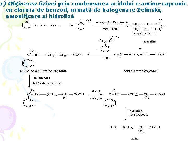 c) Obţinerea lizinei prin condensarea acidului ε-amino-capronic cu clorura de benzoil, urmată de halogenare