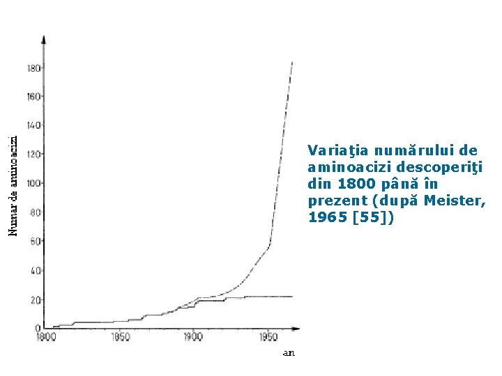 Variaţia numărului de aminoacizi descoperiţi din 1800 până în prezent (după Meister, 1965 [55])