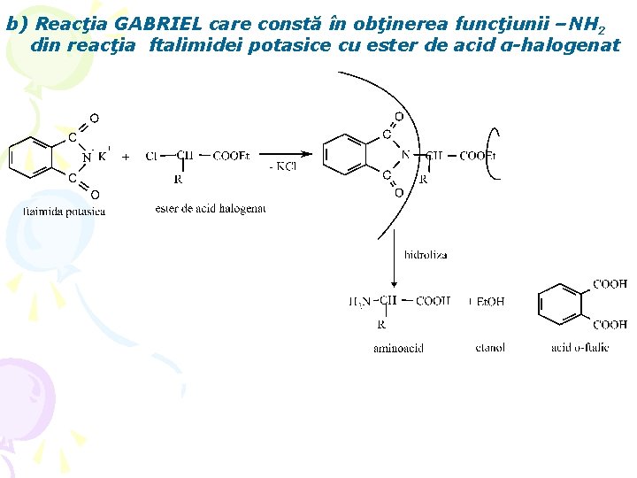 b) Reacţia GABRIEL care constă în obţinerea funcţiunii –NH 2 din reacţia ftalimidei potasice