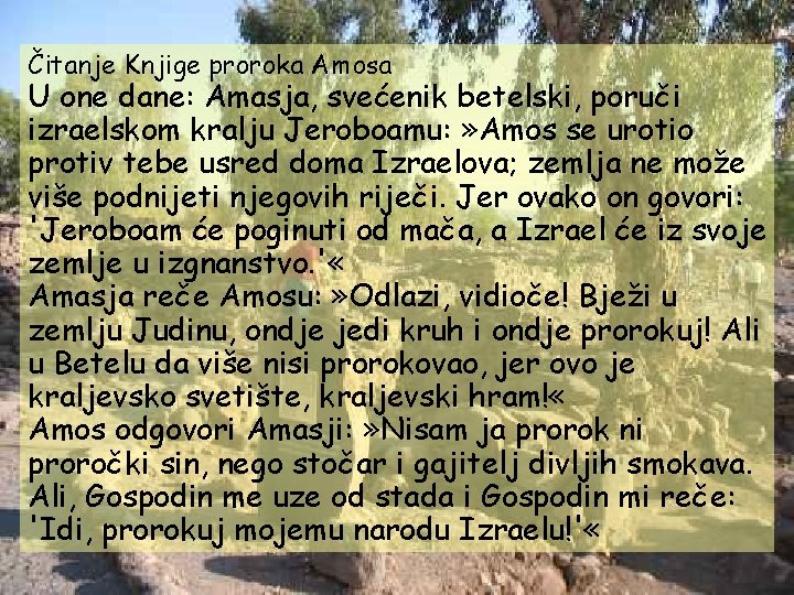 Čitanje Knjige proroka Amosa U one dane: Amasja, svećenik betelski, poruči izraelskom kralju Jeroboamu: