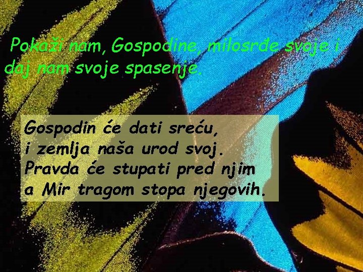 Pokaži nam, Gospodine, milosrđe svoje i daj nam svoje spasenje. Gospodin će dati sreću,