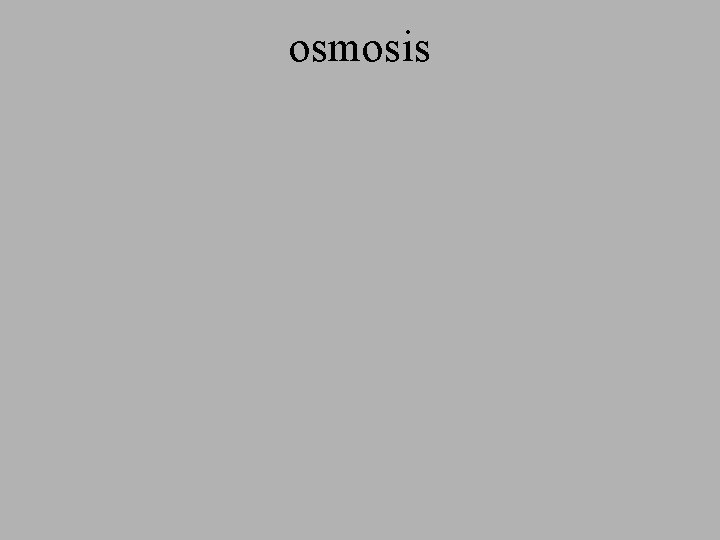 osmosis osmosis