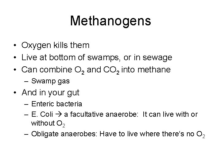 Methanogens • Oxygen kills them • Live at bottom of swamps, or in sewage