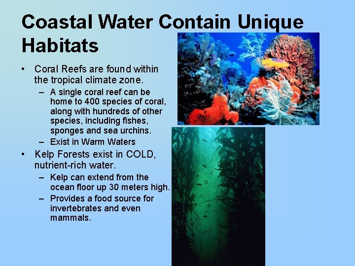 Coastal Water Contain Unique Habitats • Coral Reefs are found within the tropical climate