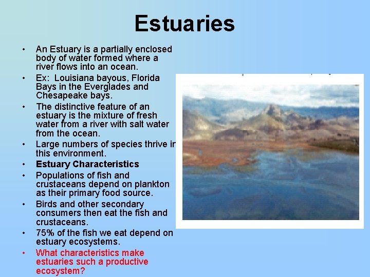 Estuaries • • • An Estuary is a partially enclosed body of water formed
