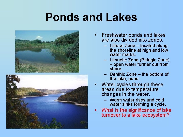 Ponds and Lakes • Freshwater ponds and lakes are also divided into zones: –