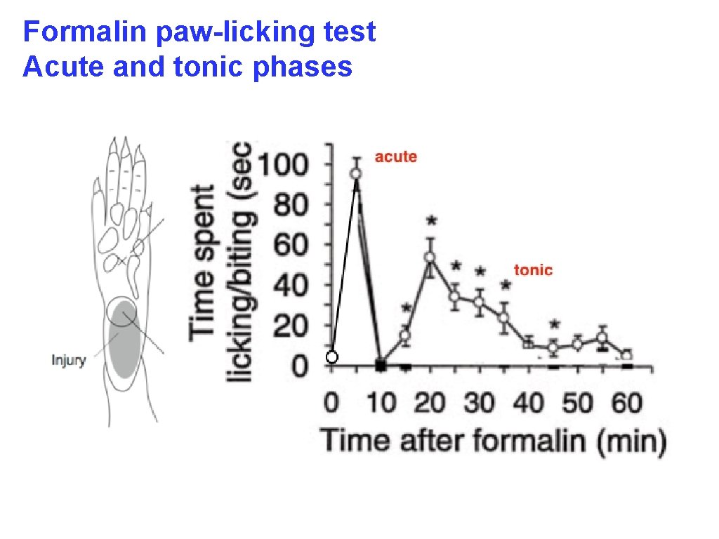 Formalin paw-licking test Acute and tonic phases 