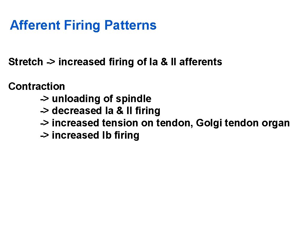 Afferent Firing Patterns Stretch -> increased firing of Ia & II afferents Contraction ->