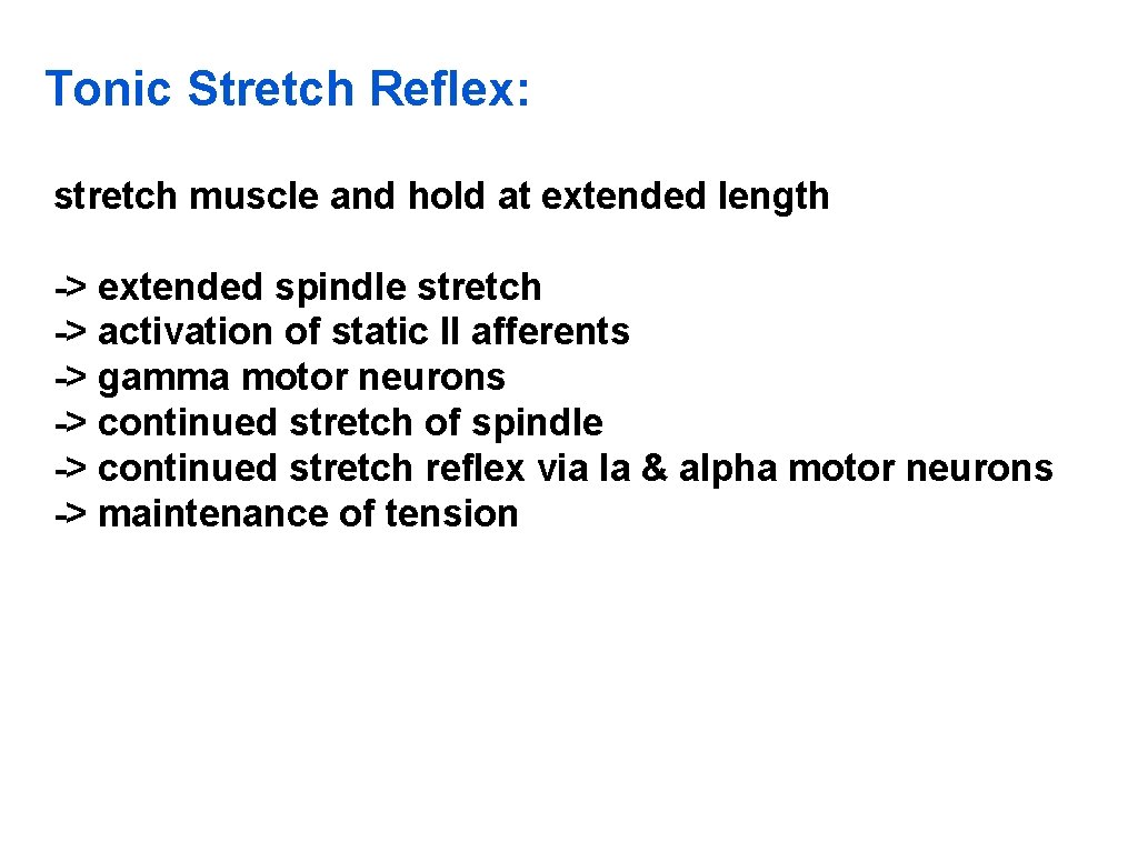 Tonic Stretch Reflex: stretch muscle and hold at extended length -> extended spindle stretch