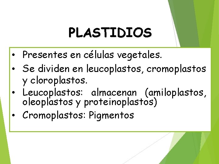 PLASTIDIOS • Presentes en células vegetales. • Se dividen en leucoplastos, cromoplastos y cloroplastos.