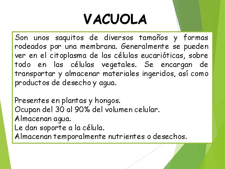 VACUOLA Son unos saquitos de diversos tamaños y formas rodeados por una membrana. Generalmente