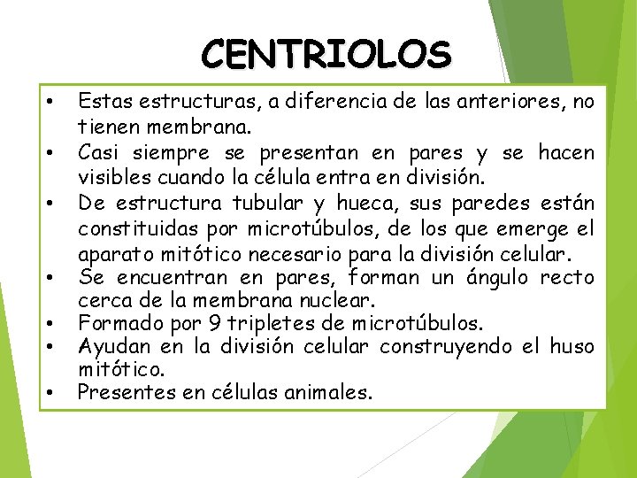 CENTRIOLOS • • Estas estructuras, a diferencia de las anteriores, no tienen membrana. Casi