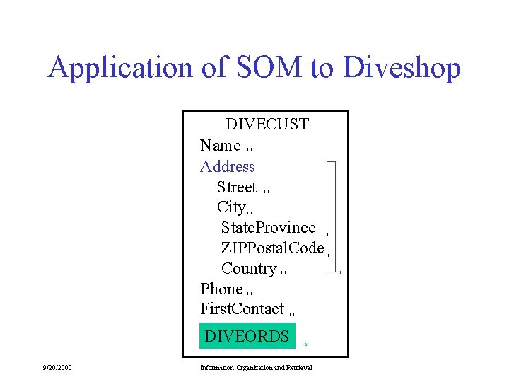 Application of SOM to Diveshop DIVECUST Name Address Street City State. Province ZIPPostal. Code