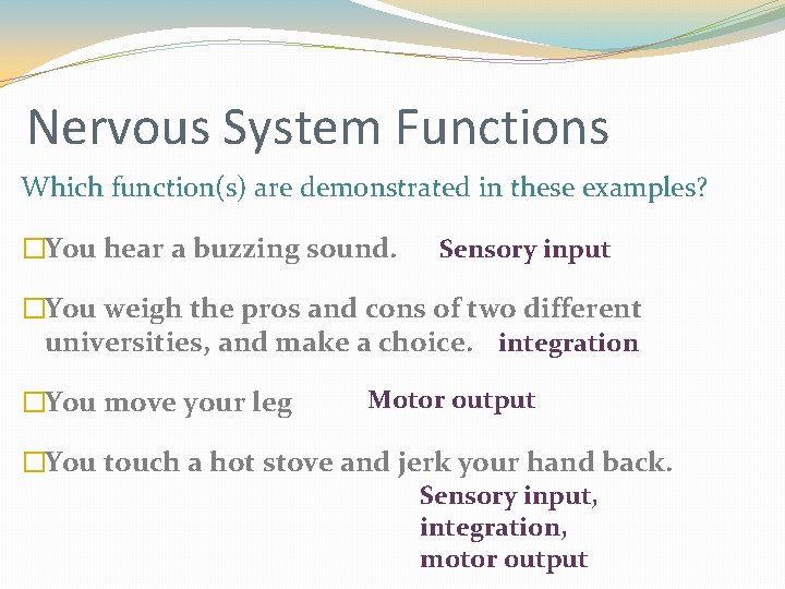 Nervous System Functions Which function(s) are demonstrated in these examples? �You hear a buzzing Nervous System Functions Which function(s) are demonstrated in these examples? �You hear a buzzing
