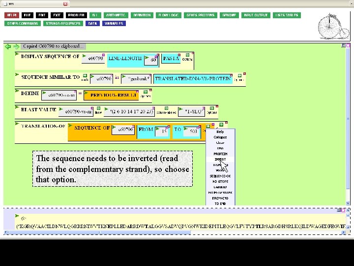 The sequence needs to be inverted (read from the complementary strand), so choose that