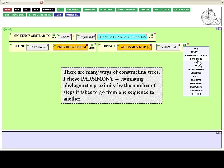 There are many ways of constructing trees. I chose PARSIMONY -- estimating phylogenetic proximity