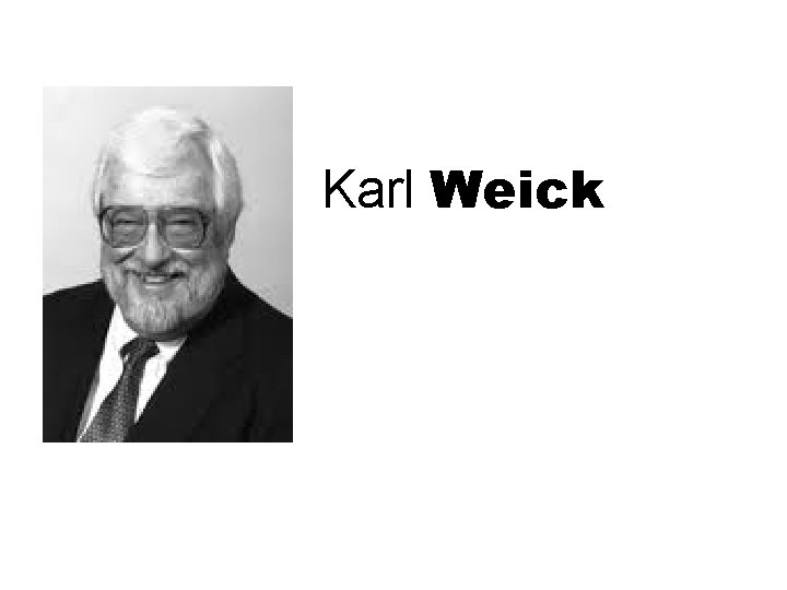 Karl Weick 