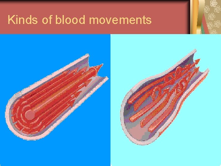 Kinds of blood movements 