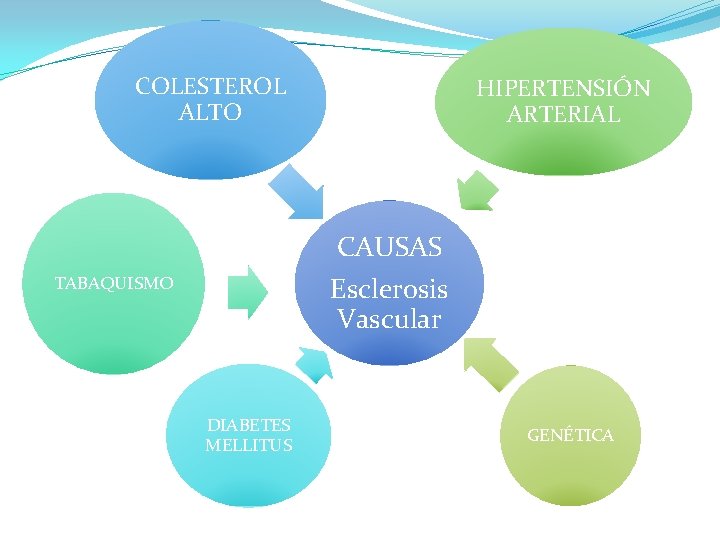 COLESTEROL ALTO HIPERTENSIÓN ARTERIAL CAUSAS Esclerosis Vascular TABAQUISMO DIABETES MELLITUS GENÉTICA 