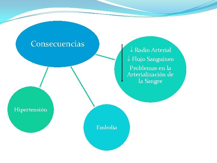 Consecuencias Radio Arterial Flujo Sanguíneo Problemas en la Arterialización de la Sangre Hipertensión Embolia