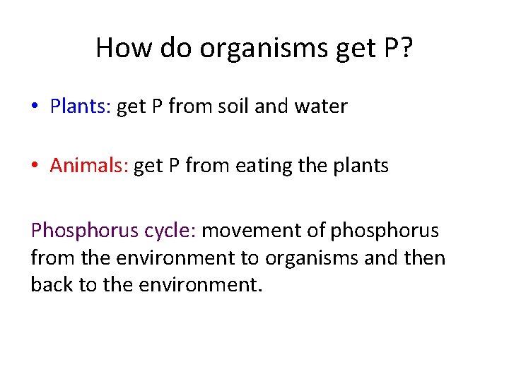 How do organisms get P? • Plants: get P from soil and water •
