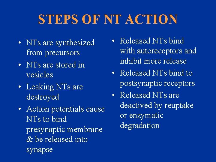 STEPS OF NT ACTION • Released NTs bind • NTs are synthesized with autoreceptors