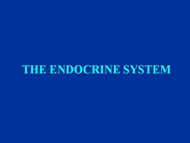 THE ENDOCRINE SYSTEM 