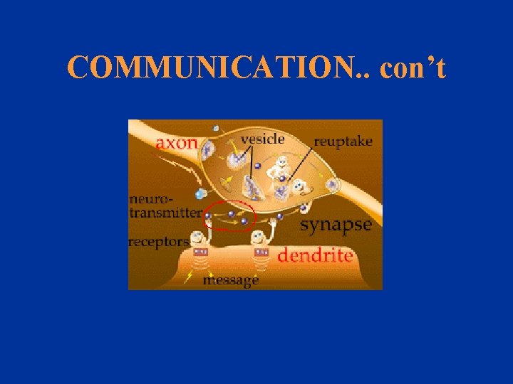 COMMUNICATION. . con’t 