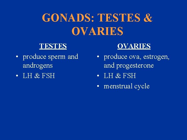 GONADS: TESTES & OVARIES TESTES • produce sperm androgens • LH & FSH OVARIES