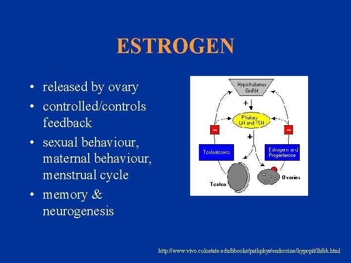 ESTROGEN • released by ovary • controlled/controls feedback • sexual behaviour, maternal behaviour, menstrual