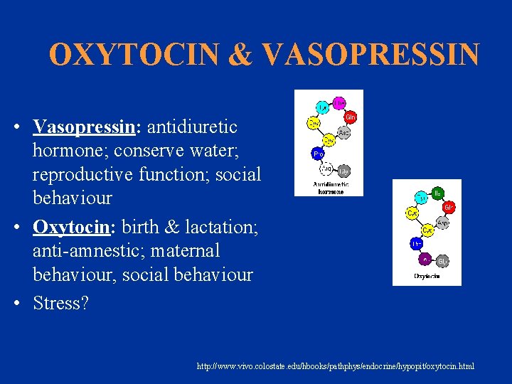 OXYTOCIN & VASOPRESSIN • Vasopressin: antidiuretic hormone; conserve water; reproductive function; social behaviour •