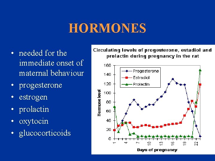 HORMONES • needed for the immediate onset of maternal behaviour • progesterone • estrogen