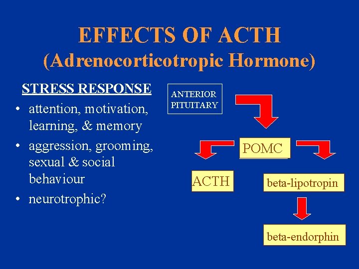 EFFECTS OF ACTH (Adrenocorticotropic Hormone) STRESS RESPONSE • attention, motivation, learning, & memory •