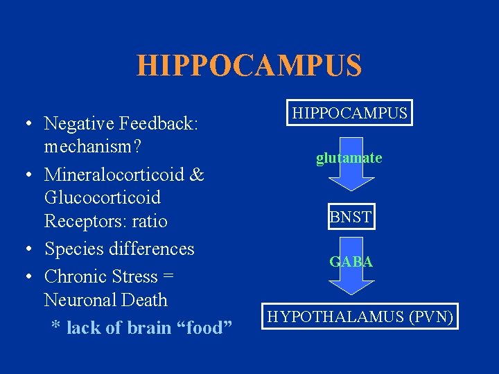 HIPPOCAMPUS • Negative Feedback: mechanism? • Mineralocorticoid & Glucocorticoid Receptors: ratio • Species differences