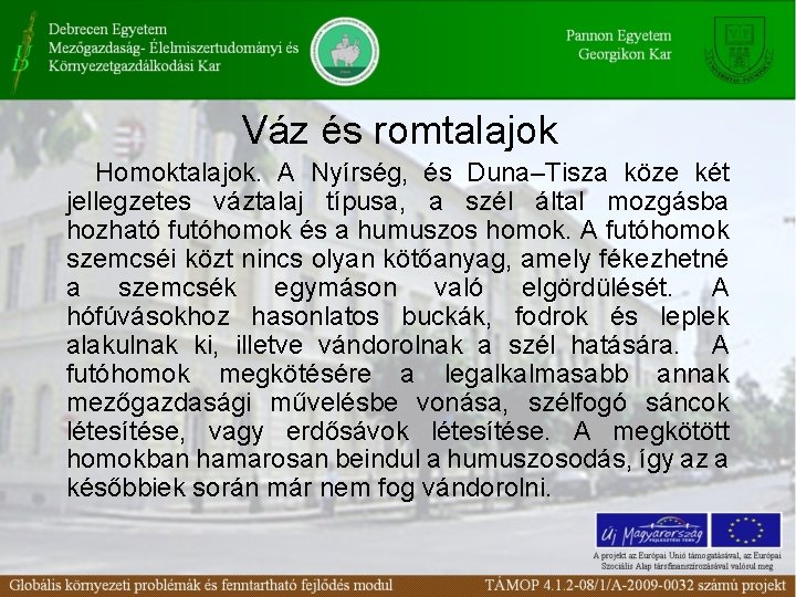 Váz és romtalajok Homoktalajok. A Nyírség, és Duna–Tisza köze két jellegzetes váztalaj típusa, a