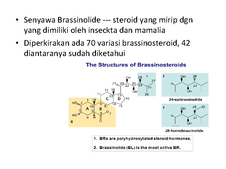  • Senyawa Brassinolide --- steroid yang mirip dgn yang dimiliki oleh inseckta dan