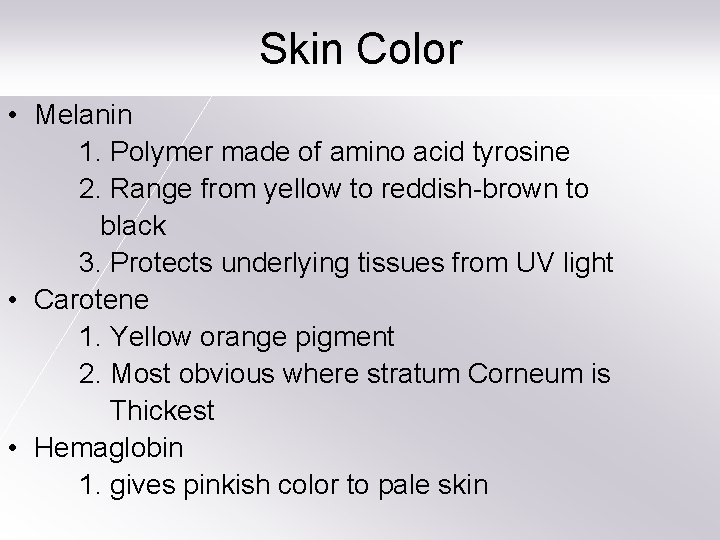 Skin Color • Melanin 1. Polymer made of amino acid tyrosine 2. Range from