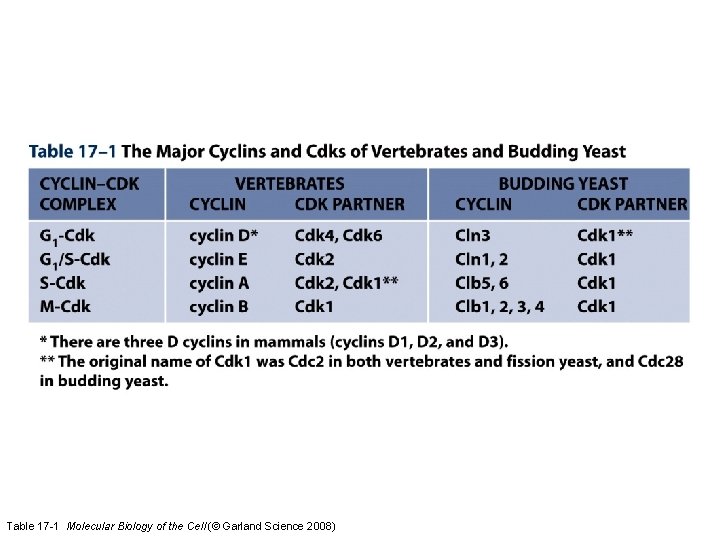 Table 17 -1 Molecular Biology of the Cell (© Garland Science 2008) 
