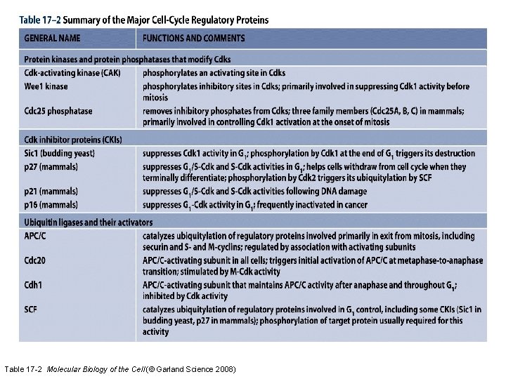 Table 17 -2 Molecular Biology of the Cell (© Garland Science 2008) 