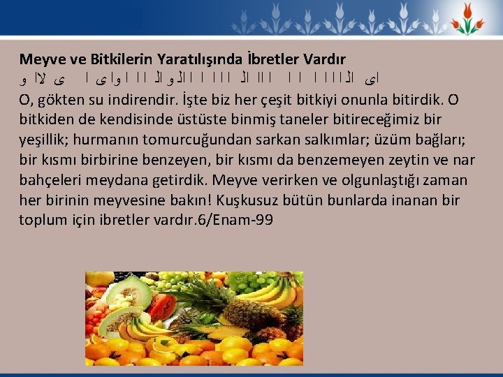 Meyve ve Bitkilerin Yaratılışında İbretler Vardır ﻭ ﻻﺍ ﻯ ﻭﺍ ﺍ ﺍ ﺍﻟ ﻭ