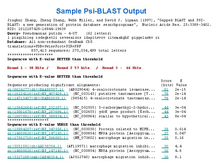 Sample Psi-BLAST Output Jinghui Zhang, Zheng Zhang, Webb Miller, and David J. Lipman (1997),