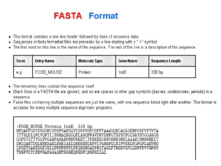 FASTA Format 