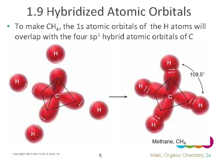 1. 9 Hybridized Atomic Orbitals • To make CH 4, the 1 s atomic