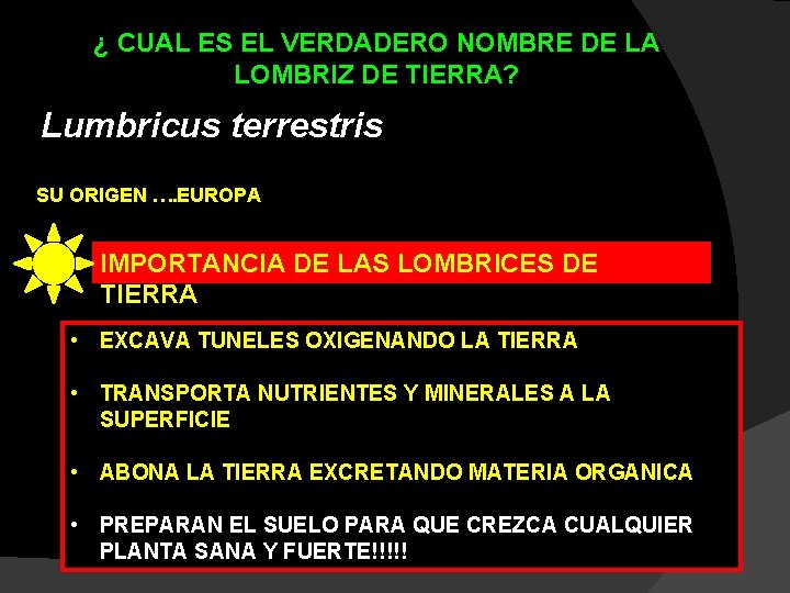 ¿ CUAL ES EL VERDADERO NOMBRE DE LA LOMBRIZ DE TIERRA? Lumbricus terrestris SU