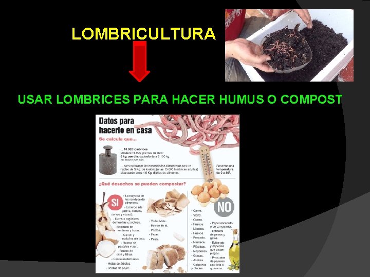 LOMBRICULTURA USAR LOMBRICES PARA HACER HUMUS O COMPOST 