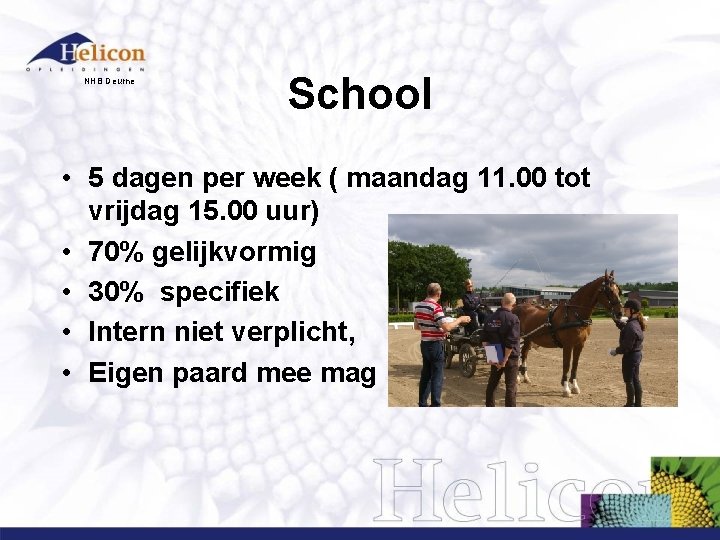 NHB Deurne School • 5 dagen per week ( maandag 11. 00 tot vrijdag