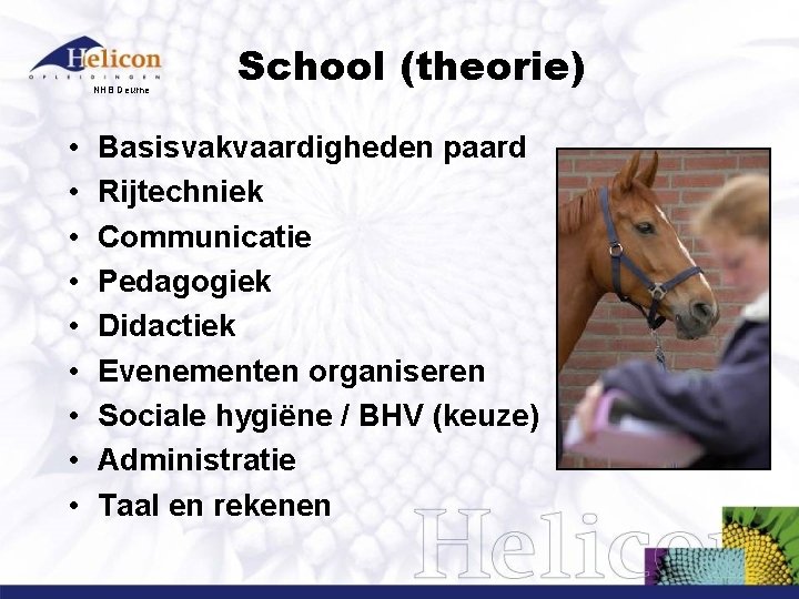 NHB Deurne • • • School (theorie) Basisvakvaardigheden paard Rijtechniek Communicatie Pedagogiek Didactiek Evenementen