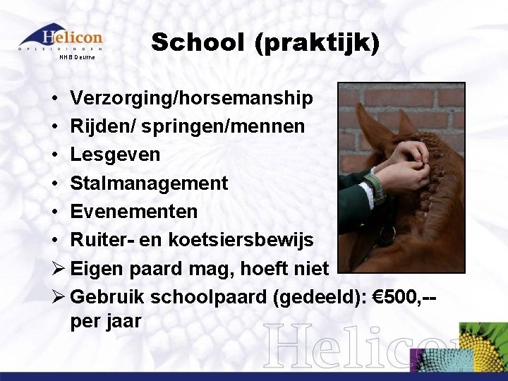 NHB Deurne School (praktijk) • Verzorging/horsemanship • Rijden/ springen/mennen • Lesgeven • Stalmanagement •